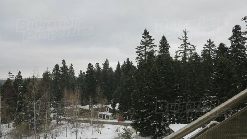 Лоджи Flora Snow Paradise Боровец-13