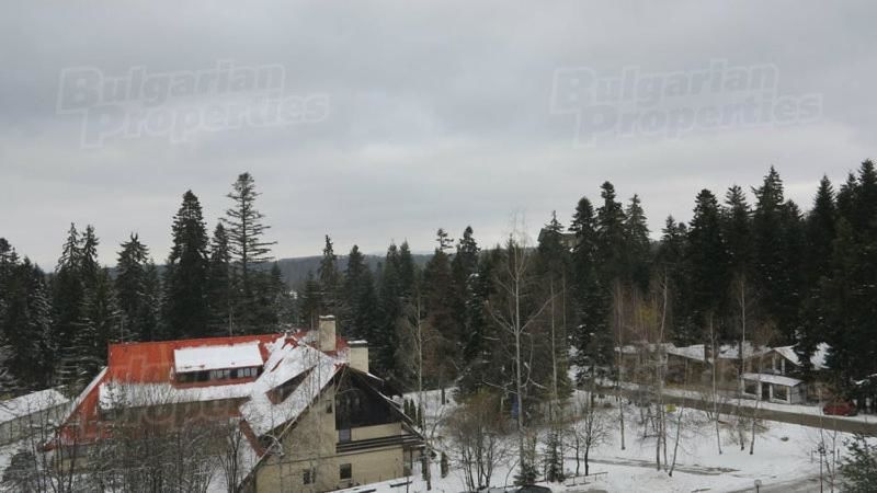 Лоджи Flora Snow Paradise Боровец-14