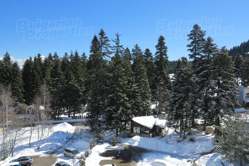 Лоджи Flora Snow Paradise Боровец-23