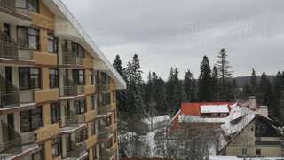 Лоджи Flora Snow Paradise Боровец-3